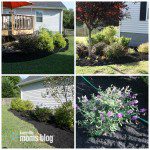 landscaping review