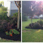 landscaping review 2