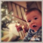 Hudson christmas blog