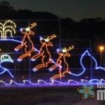 Rudolph-Whale