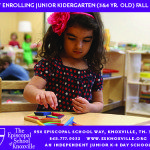 Knoxville Moms Blog Jan