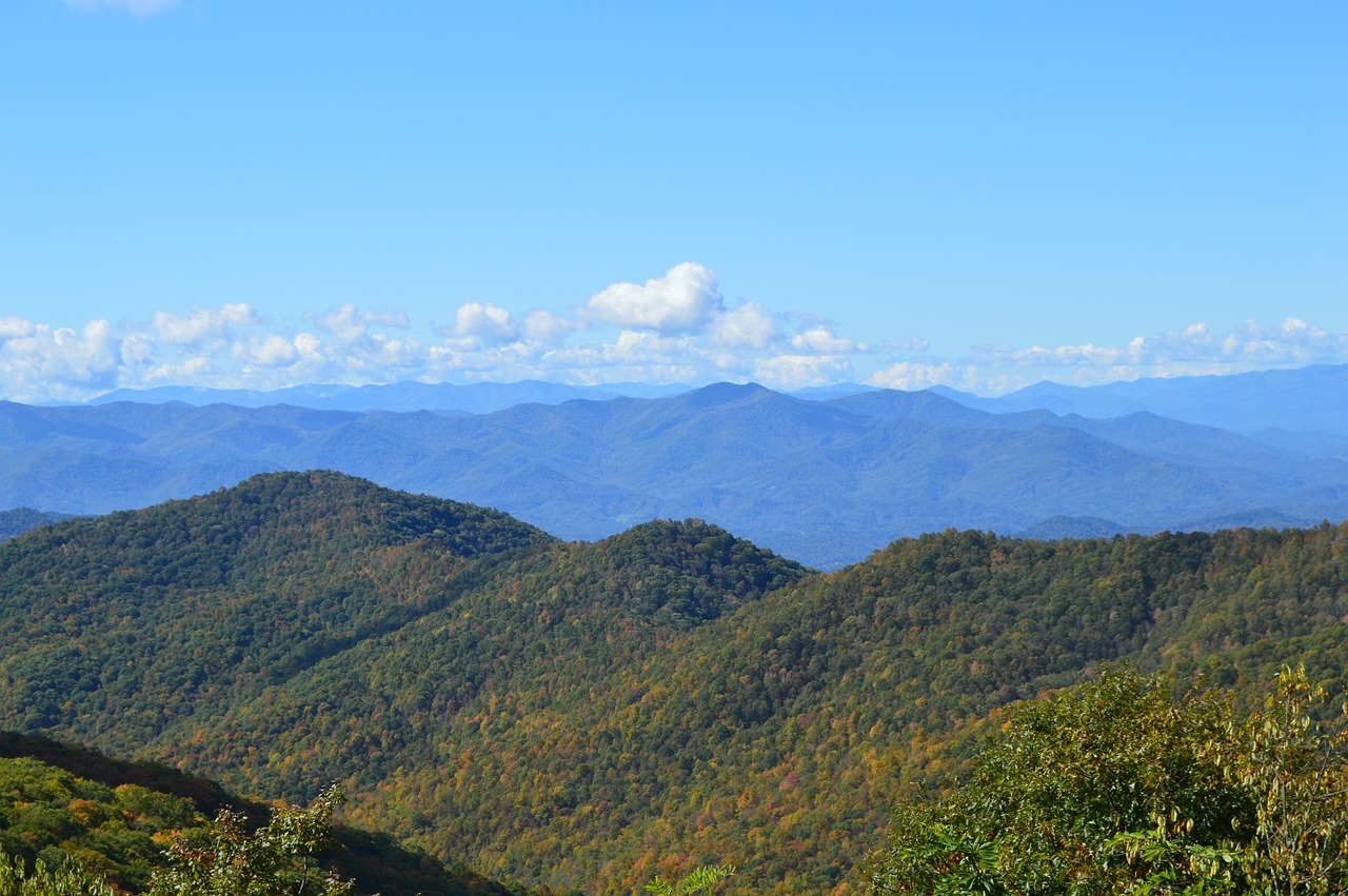 Knoxville Area Urban Wilderness