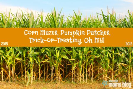 2015 Knoxville Moms Blog List of Knoxville Corn Mazes and Pumpkin Patches