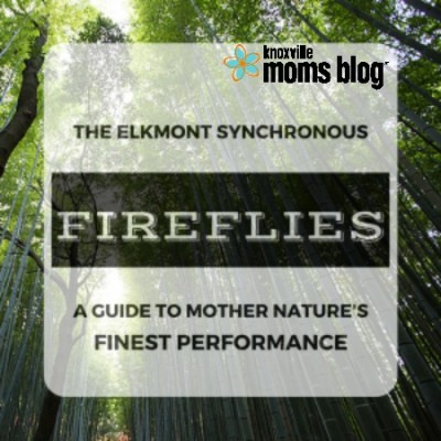 The Elkmont Synchronous Fireflies