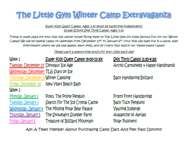 The Little Gym Winter Camps
