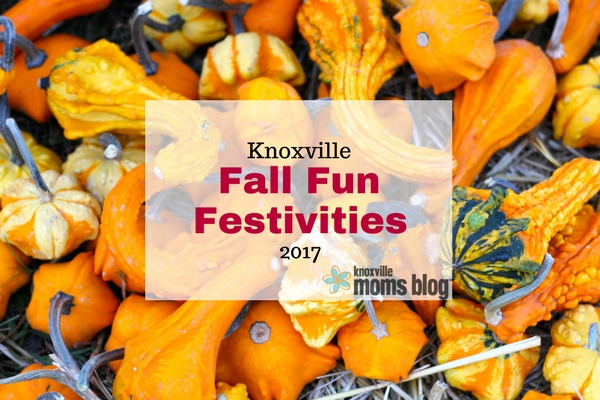 Knoxville Fall Activities and Festivals