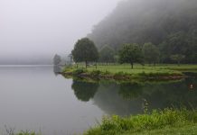 Out the Outskirts of Town Exploring the Fun Surrounding Knox County in Oak Ridge {Series}