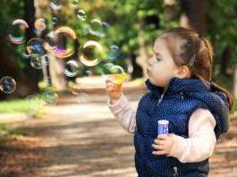 75 Fun Family Activities in Knoxville