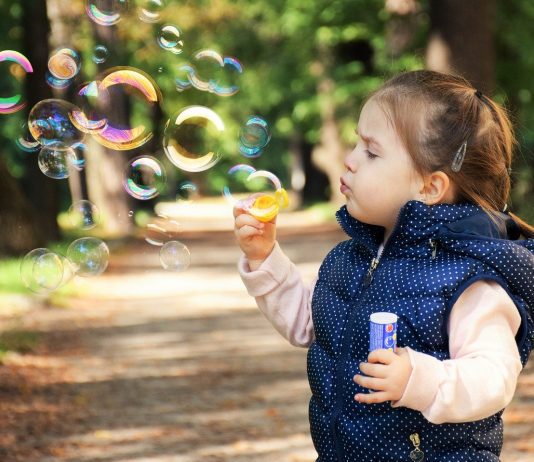 75 Fun Family Activities in Knoxville