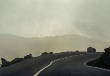 The First Thanksgiving: Living Out Of Grief