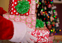 What Does Santa Bring? What Does Santa Bring?