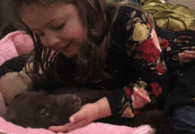 A Puppy for Christmas (the Cold, Hard, Furry Truth)