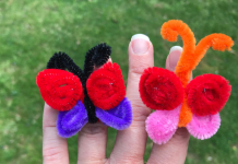 Butterfly Rings and Pollination Experiment Using Pipe Cleaners