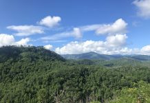 6 Reasons to Visit Anakeesta Right Now Anavista