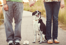 A Tribute to the Family Dog