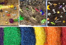Sensory Bins