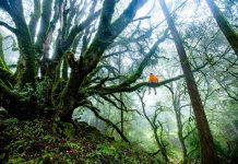 10 Ways Jumanji Prepared Me for 2020 10 Ways Jumanji Prepared Me for 2020...