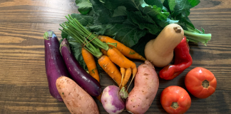 How a CSA Made My 2020 More Colorful