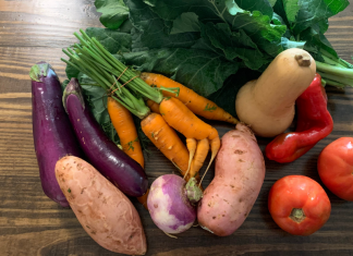 How a CSA Made My 2020 More Colorful