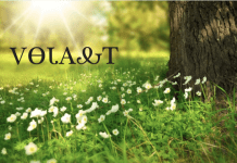 Learning My Ancestor’s Language Changed My Life