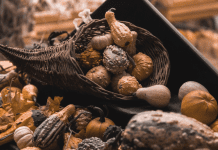 How Do We Begin Unraveling Culturally Insensitive Thanksgiving Myths With Our Children?