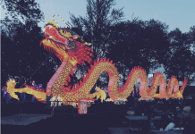Celebrating Chinese New Year With Your Family