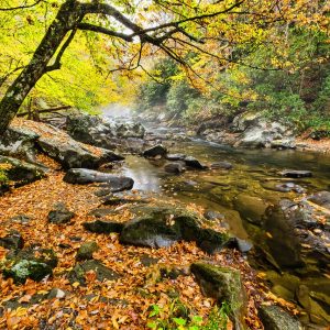 100+ Things to Do in the Smokies