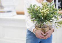 Favorite Spring Refresh Tips