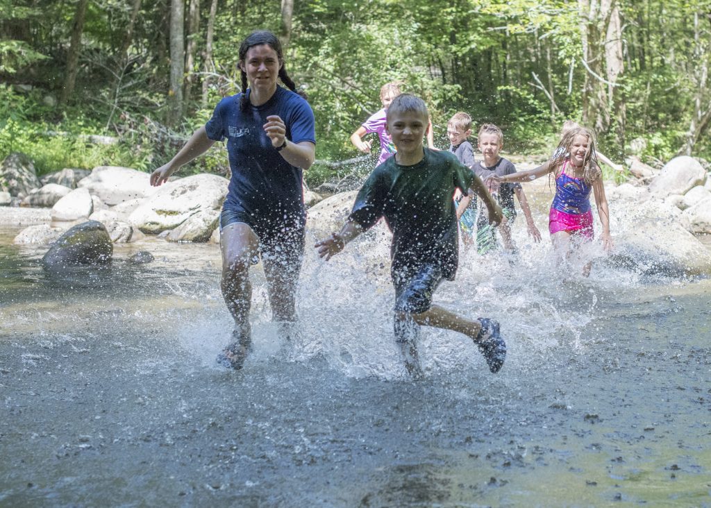 Summer in the Smokies