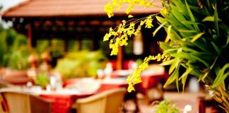 45+ Best Knoxville Patios