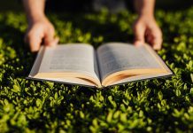 Summer Reading Recommendations From a Book Blogger