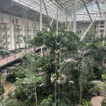 Summer Opryland