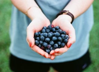 Where to Pick Blueberries in East Tennessee