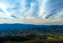 Guide to Townsend Tennessee