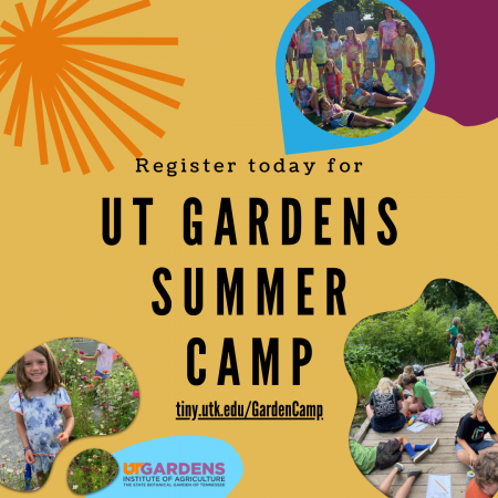 UT Gardens Summer Camp