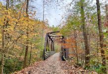 Creepin’ Down The Virginia Creeper Trail Creepin' Down The Virginia Creeper Trail
