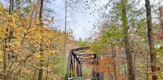 Creepin' Down The Virginia Creeper Trail