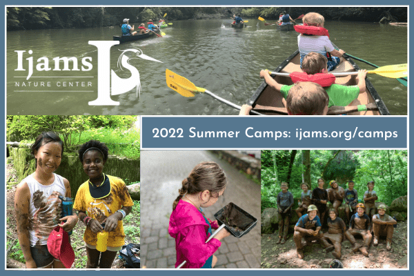 Ijams Nature Center Summer Camps