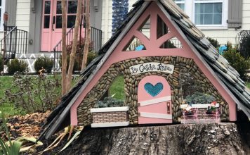 Knoxville Fairy Gardens: From Fairytales to Tailgates
