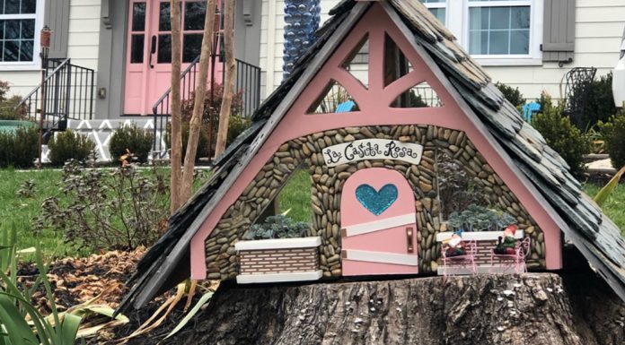 Knoxville Fairy Gardens: From Fairytales to Tailgates