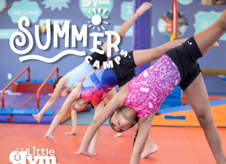 Knoxville Little Gym Summer Camp