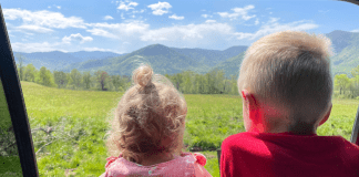 Cades Cove Tips
