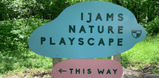 Ijams Nature Playscape