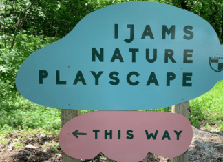 Ijams Nature Playscape