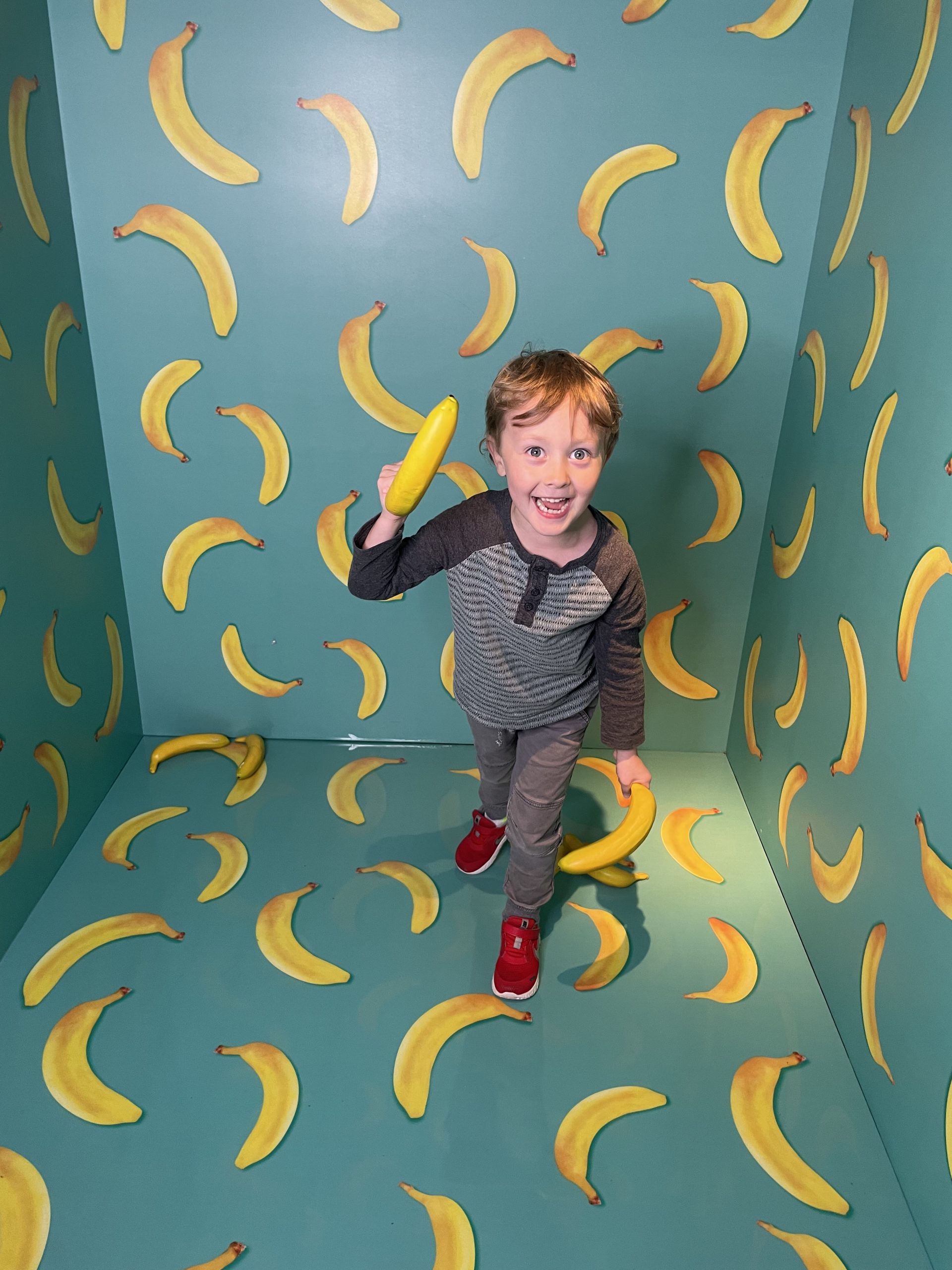 Selfie Museum Bananas