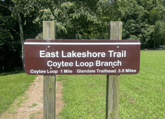 East Lakeshore Trail Coytee Loop Branch