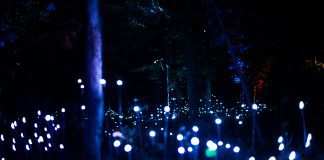 Astra Lumina at Anakeesta 2