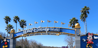 The Zip-A-Dee-Dos And Don’ts of Disney World
