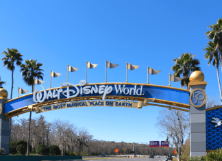 The Zip-A-Dee-Dos And Don’ts of Disney World