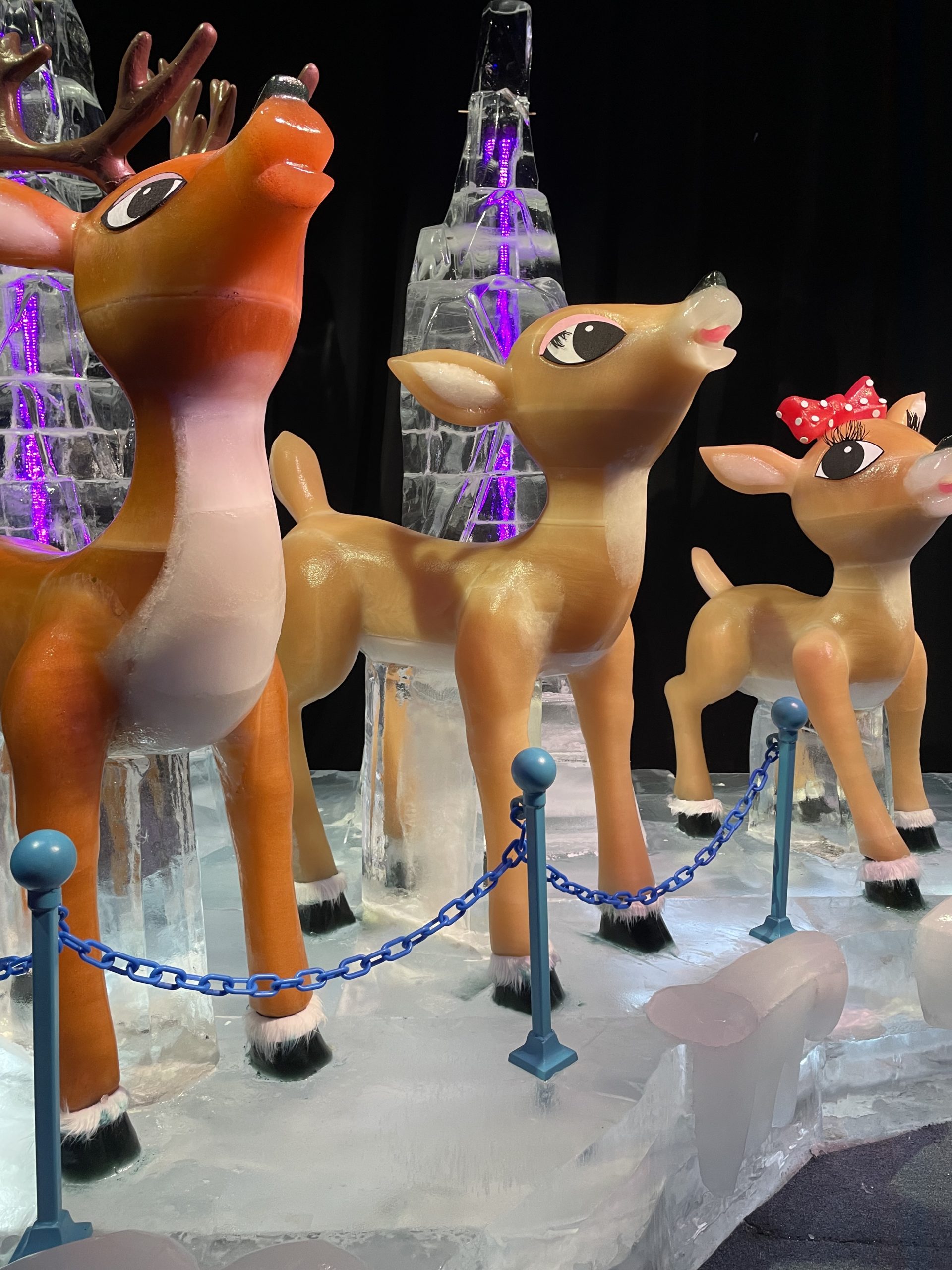 Rudolph at ICE!